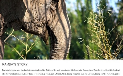 ramba