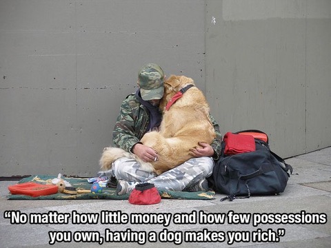 dog_quotes_01