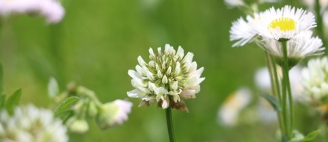 IMG_9383