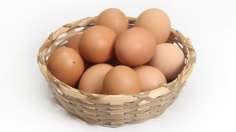 chicken-1686641_1280