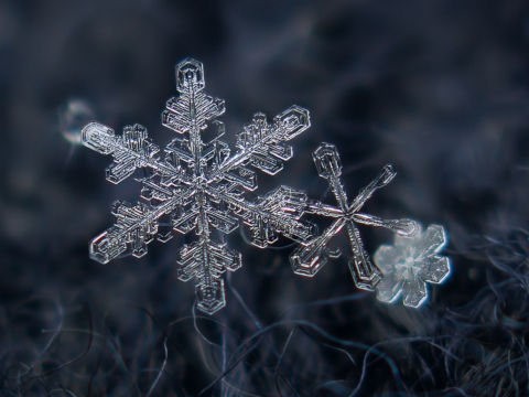 supercoolpics_02_15022012122603