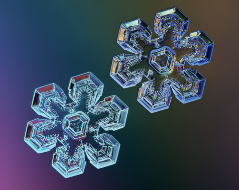supercoolpics_16_16012014173113