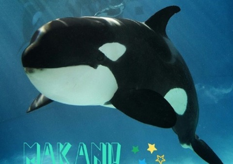 makani