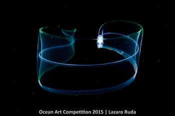3rd-m-ocean-art-2015-lazaro-ruda-350
