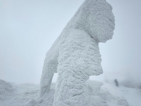 fQauADvKSsCLahH2axSIfQ