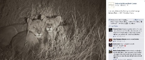 cecil4