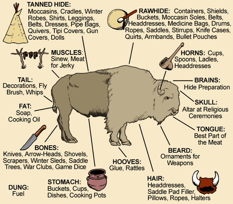 buffaloposter
