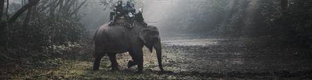 36887623-sauraha-nepal--circa-december-2014-