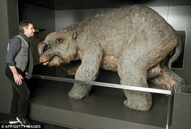 聖徳太子とウォンバットの四角いうんち ひかたま 光の魂たち