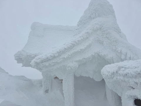 xyll8-zZREi5TlMdLtvDFQ