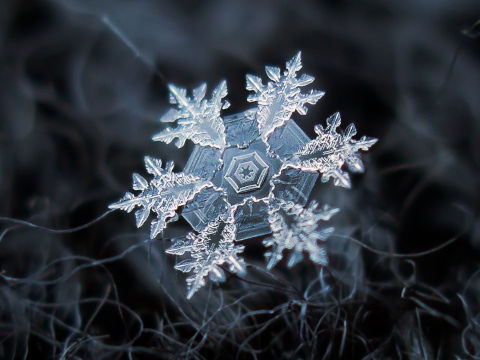 supercoolpics_12_02122014110000