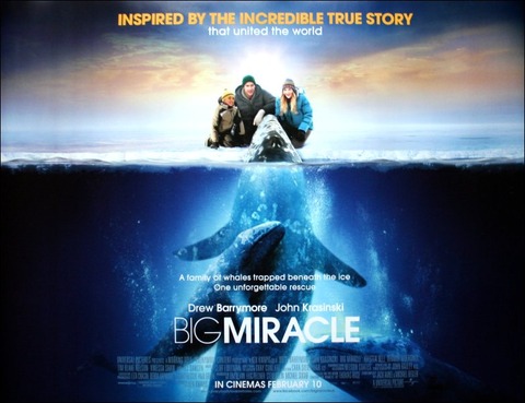 big-miracle
