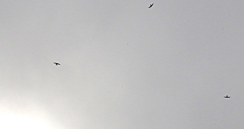 5IMG_7448bloga