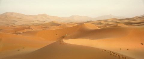 desert-2435405_960_720