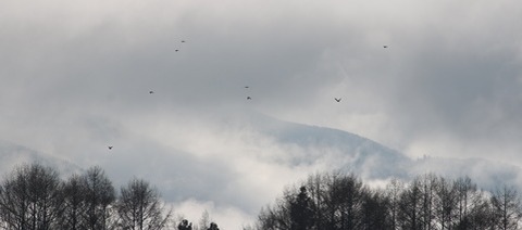 IMG_1843blog
