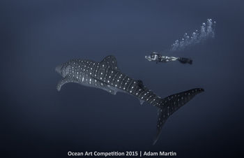 2nd-ndslr-ocean-art-2015-adam-martin-350