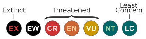 svg