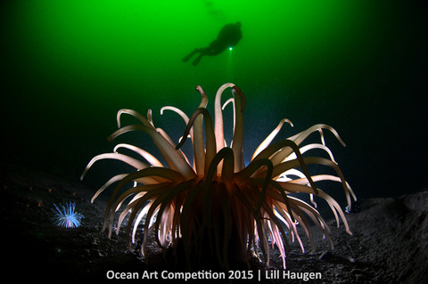 1st-c-ocean-art-2015-lill-haugen-700