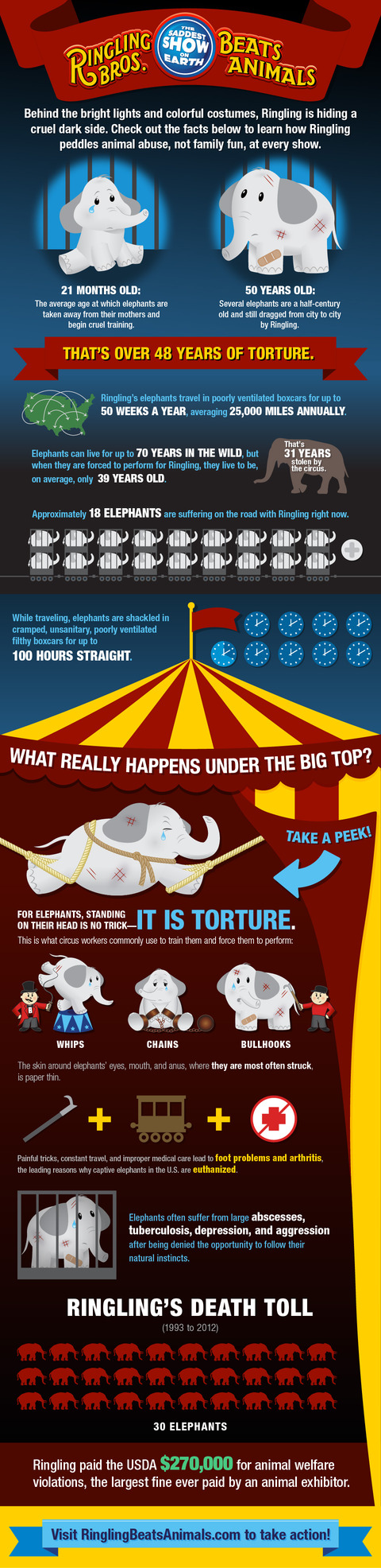 Ringling-Infographic