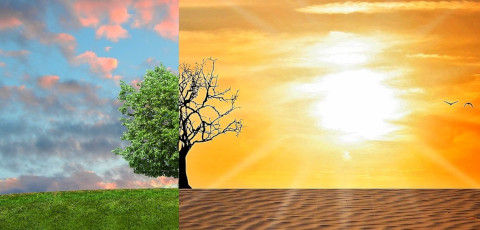 climate-change-2063240_1280