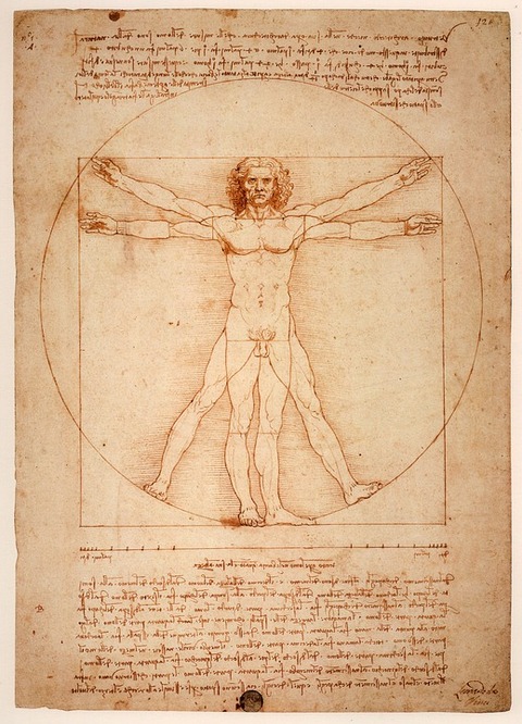 leonardo-da-vinci-1125056_960_720