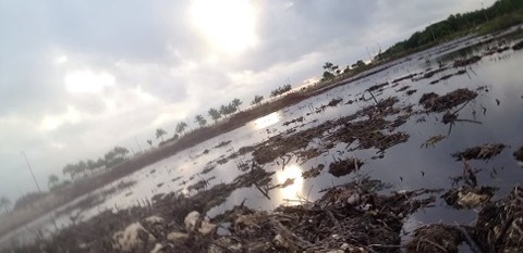 cancun33