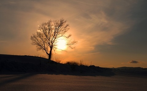 1IMG_0649a