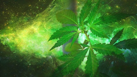 cannabis-neuroprotective