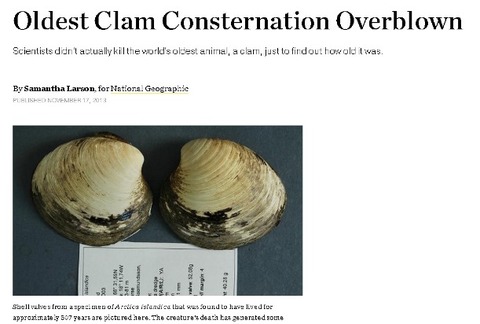 clam