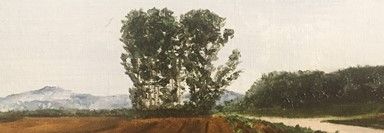 IMG_0494a