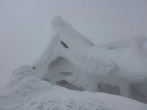 sXrLptl3R_WRcWPUgGw1TA