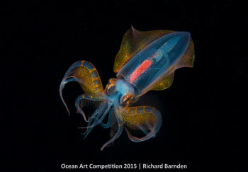 hm-m-ocean-art-2015-richard-barnden-350