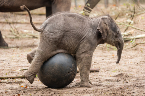 6a010535647bf3970b01b7c8b0e65e970b-800wi