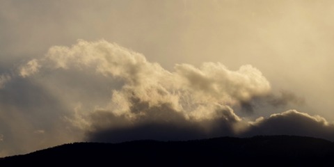 IMGP1254