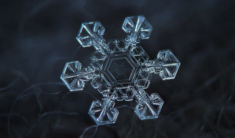supercoolpics_04_18012013105715