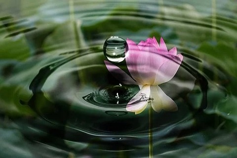 drop-of-water-2092495__340