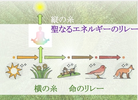 ｓｙｏｋｕｔｏ