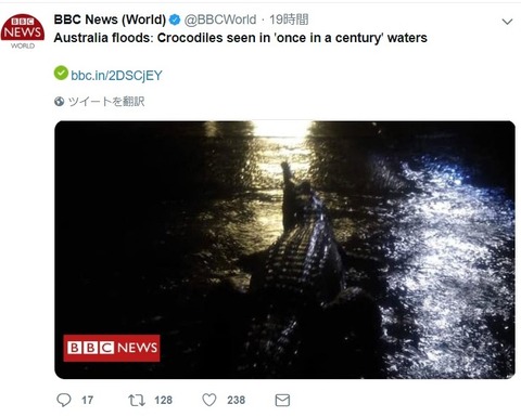 croc