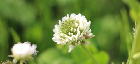 IMG_0680