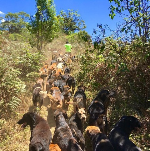 02-territoriodezaguates-leadingthepack-653x0_q80_crop-smart