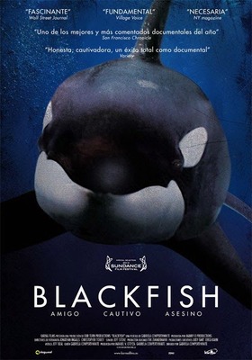 blackfish poster