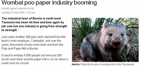 wombat3
