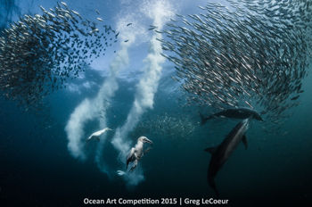 3rd-mlb-ocean-art-2015-greg-lecoeur-350