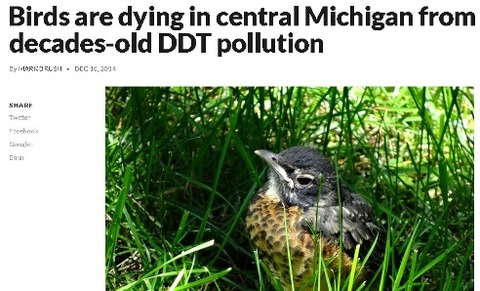 ddt3