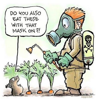 pesticide-food-2
