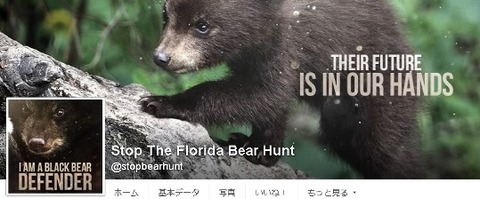 bearhunt