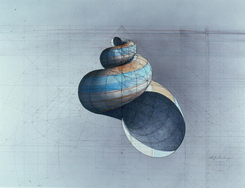 shell-1 (1)