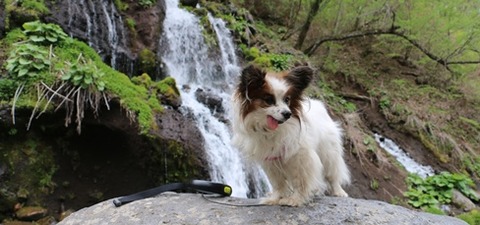 4IMG_0900