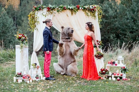 PAY-BEAR-WEDDING