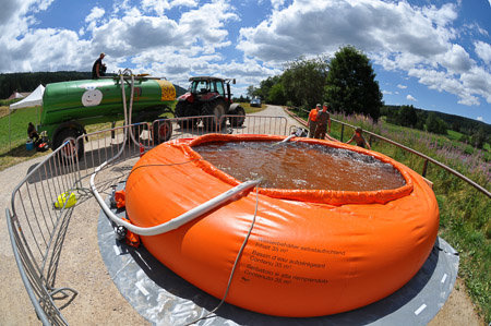 55b25b31150000ef001742e0